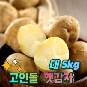 경북상주 햇감자 쪄먹는 감자용 대 감자 5kg 산지직송