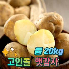 경북상주 햇감자 조림용 알감자 중 감자 20kg 산지직송