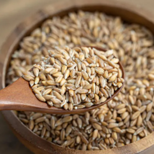 섬유질 폭탄 슈퍼푸드 고대곡물 고대밀 엠머밀 5kg