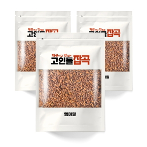 섬유질 폭탄 슈퍼푸드 고대곡물 고대밀 엠머밀 1.5kg (500g 3개)