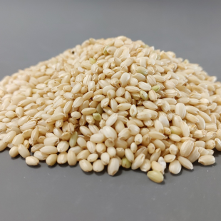 25년 국내산 찰현미 4kg