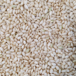 25년 국내산 찰현미 4kg