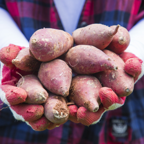 강화도 이수례 호풍미 고구마 10kg