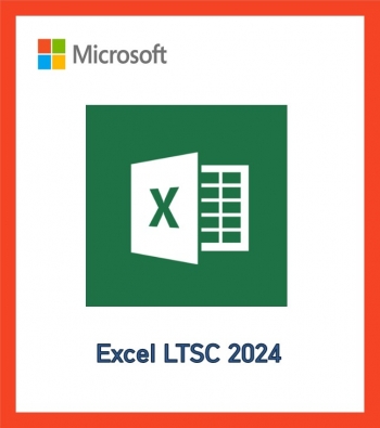 MS Excel 2024 License[엑셀 2024 기업용 라이선스
