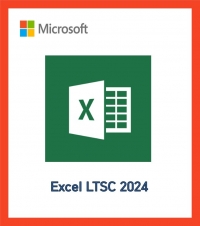 MS Excel 2024 License[엑셀 2024 기업용 라이선스