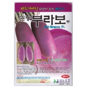 부라보무 자색무 씨앗 동치무 무우  300립 종자