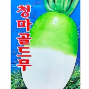 청마골드무 씨앗 25g 가을 무씨 김장무우 종자