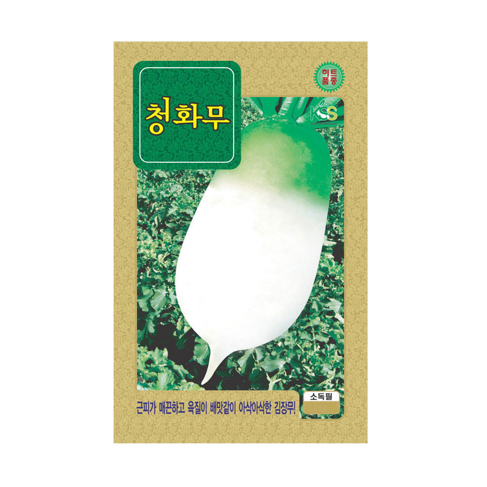청화무 씨앗 300립 김장 가을 무우 종자 키우기