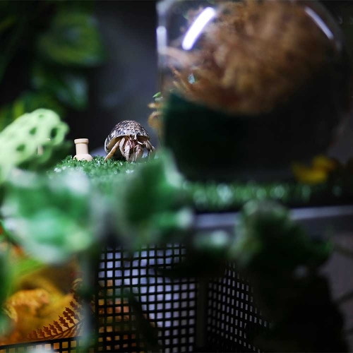 루바망 1장 어항 칸막이 부화통 조립식 격리통