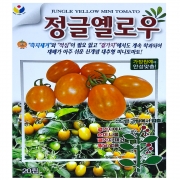 정글옐로우 대추 토마토씨앗 20립