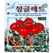 정글레드 대추토마토씨앗 20립 미니 당도 높은 종자