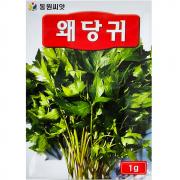 왜당귀씨앗 1g 쌈채 뿌리 쌉싸름한 일당귀 종자