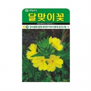 달맞이꽃씨앗 4000립 두해살이 종자유 꽃씨