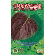 진향만추 잎들깨씨앗 15g 적쌈 쌈용 종자