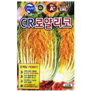 CR 로얄 리코 배추씨앗 100립 김장 황금 배추씨 종자