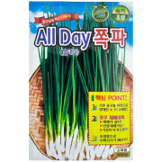 올데이 쪽파씨앗 500립 F1 조생종 종자