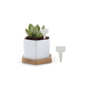 티라벨 소  중 대 특대 흰색 100장 1묶음 식물 이름표