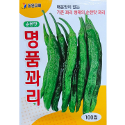 명품 순한맛 꽈리고추 씨앗 100립