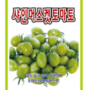 대추방울토마토씨앗 샤인머스켓 10립 당도높은 토마토씨앗