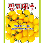 대추방울토마토씨앗 망고대추 10립 당도높은 미니토마토씨앗