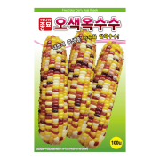 옥수수씨앗 오색옥수수 100립 다수확 종자