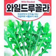 와일드 루꼴라씨앗 2000립 로켓샐러드