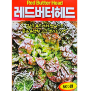 레드 버터헤드 유럽 상추씨앗 500립 아삭 샐러드 종자