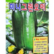미니 그린 오이씨앗 10립