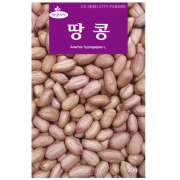 청농 땅콩씨앗 30g 종자 땅콩씨