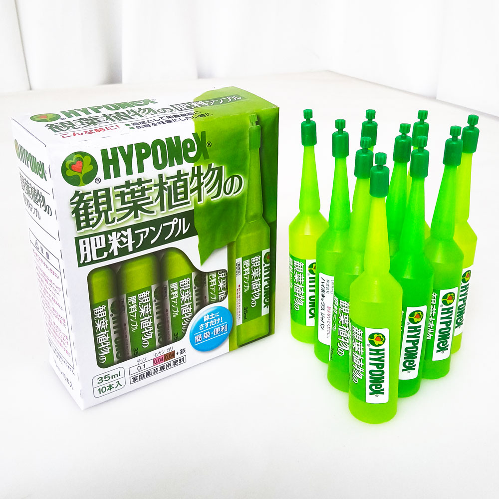 하이포넥스 앰플 35ml 10개 관엽식물영양제