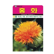 홍화 씨앗 100립 홍화씨 종자 키우기