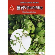 물냉이씨앗 1g 다년생 허브씨앗