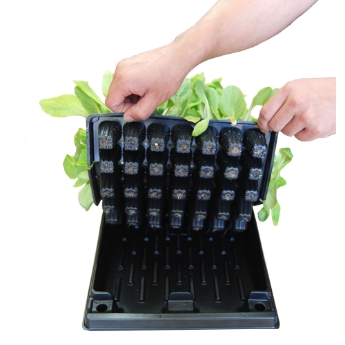 모종판 32구 50구 72구 105구 128구 162구 200구 받침대 세트 모판