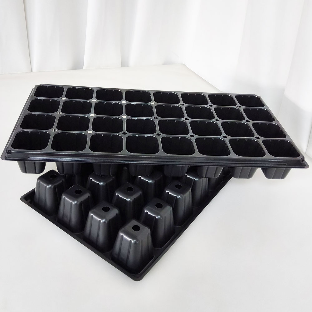 모종판 2장 트레이