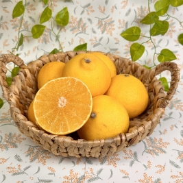 황금향_선물용_중소과 5-12과 / 2kg