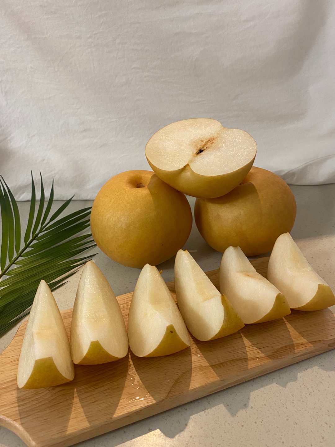 나주 신고배 실속형(가정용)  5-7과 5kg
