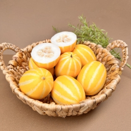 [고당도 정품] 성주 참외 대과 (9-15과 내외) 5kg (개별망)