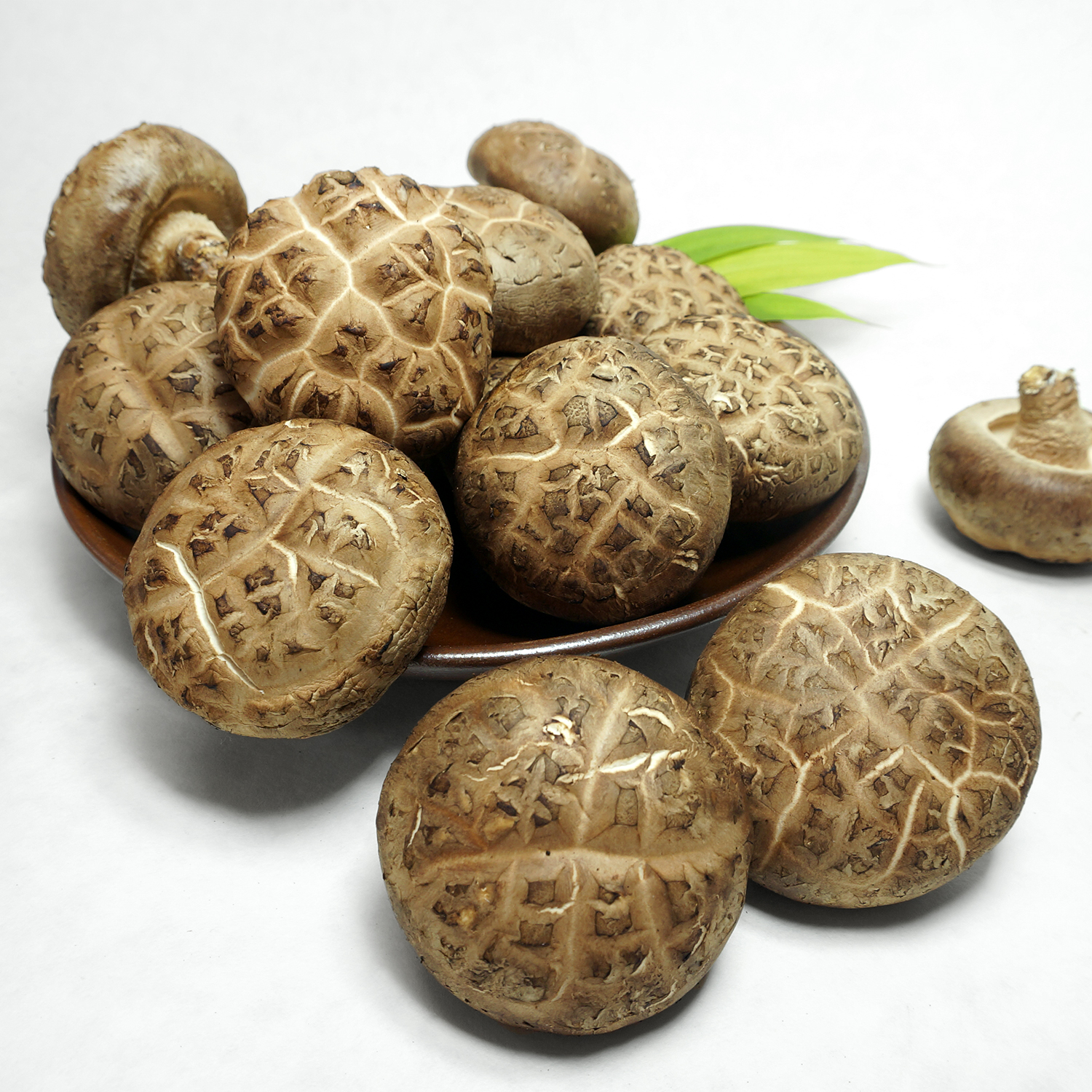 생표고버섯 (상) 1kg