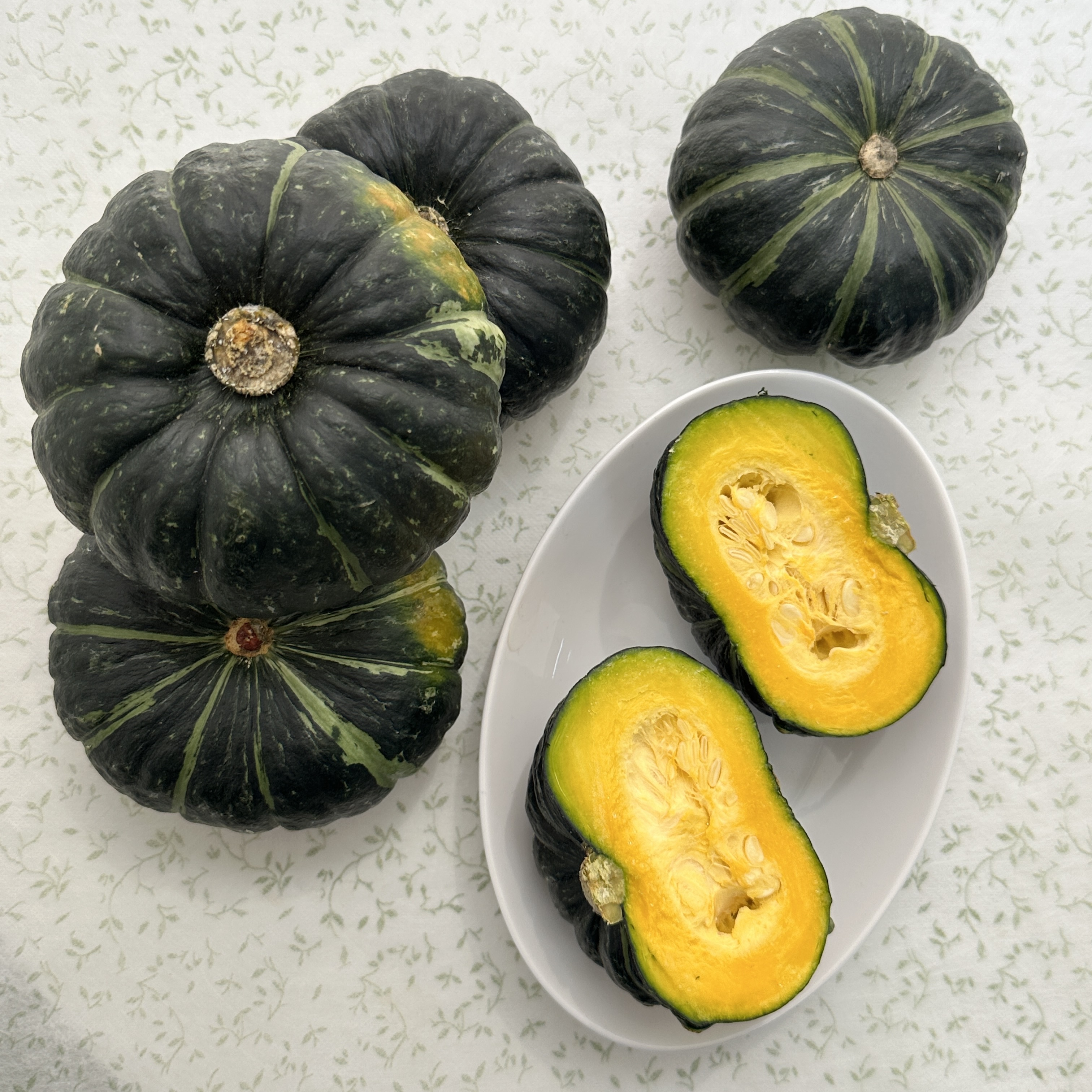 제주 보우짱 밤호박 2kg 3-9과