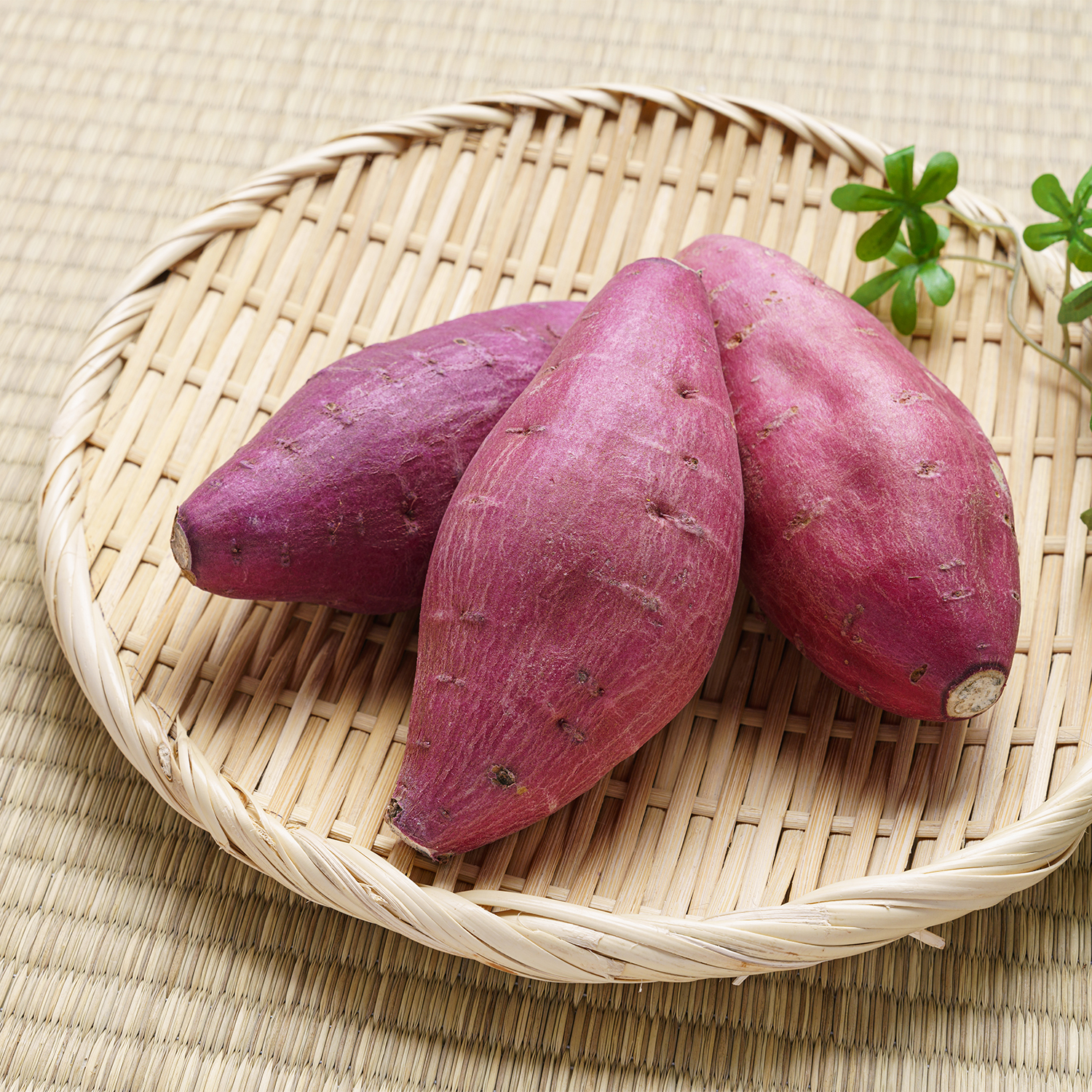 (세척) 여주 햇 꿀고구마 중3kg