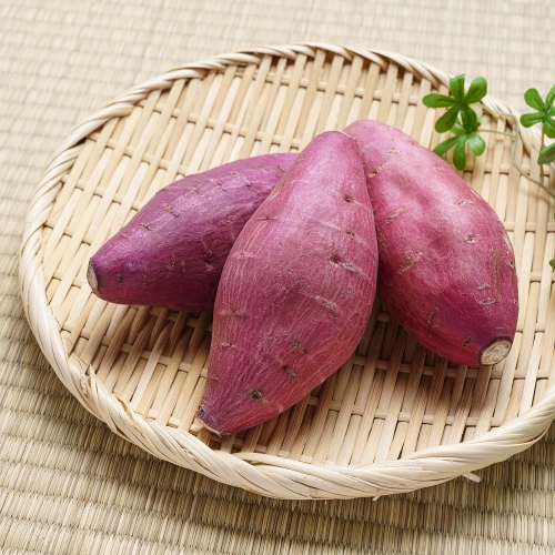 (세척) 여주 햇 꿀고구마 중3kg (세척) 여주 햇 꿀고구마 중3kg
