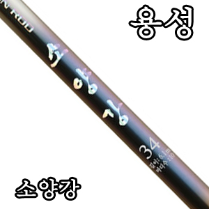[용성]소양강 수릿대(수리대)