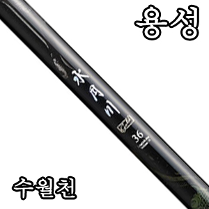 [용성] 수월천 골드 수릿대(수리대)