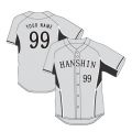2008 한신 타이거즈