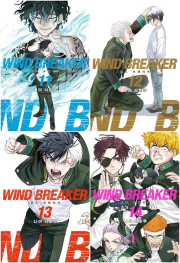 윈드 브레이커 11 - 14권 윈브레 만화책 리디