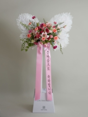 에코나비 플래티넘