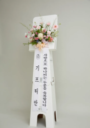 에코블룸 골드 (축하)