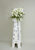 에코블룸 골드 (근조)