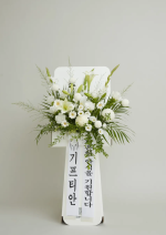 에코블룸 플래티넘 플러스 (근조)