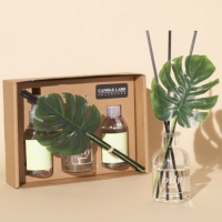 올리[olly] 프리미엄 오일 몬스테라 디퓨저+섬유스프레이 기프트세트/캔들랩스